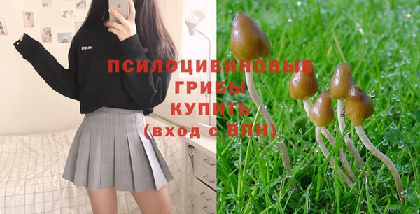 spice Алексин