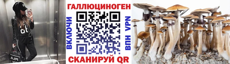 MEGA ссылка  Углич  Псилоцибиновые грибы Cubensis 