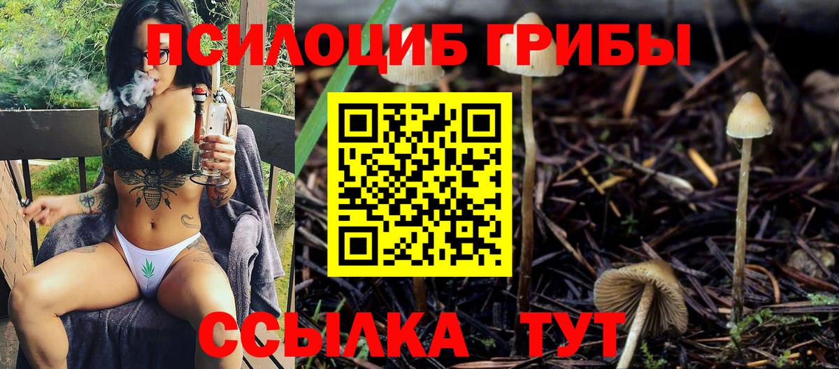 Углич  Псилоцибиновые грибы ЛСД  Вход с VPN 