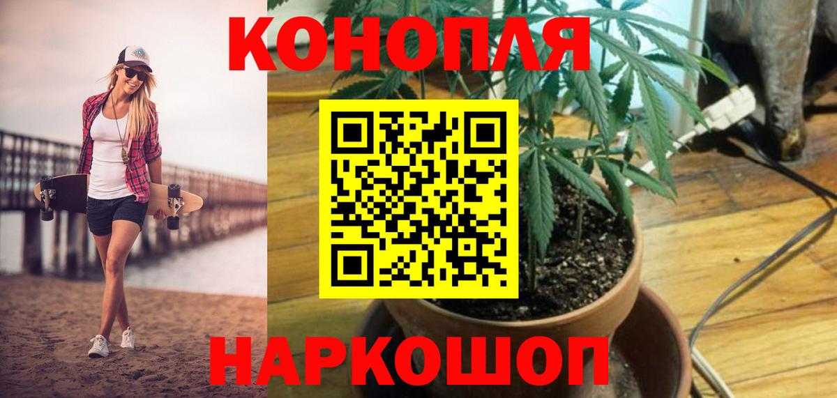 Углич  МАРИХУАНА Amnesia  Конопля тримм  Конопля Bruce Banner  Вход с VPN 